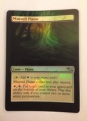 Border extension on foil modern staple