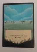 Full art plains alter on chinese FBB plains